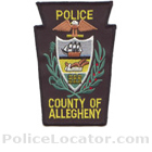 Allegheny County Police Department Patch